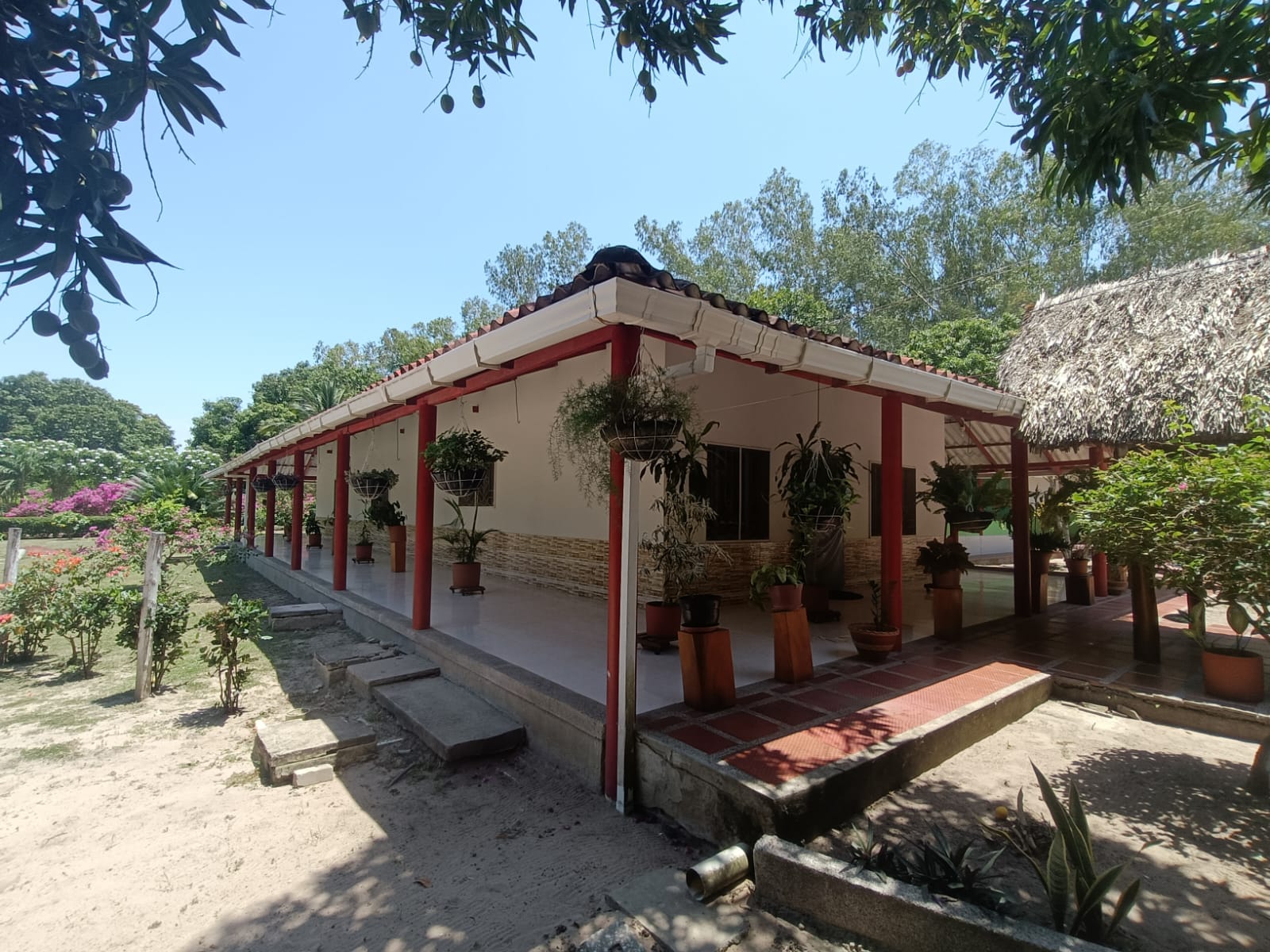 Finca